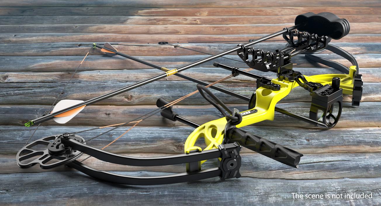 3D Armed Compound Bow Bear Archery Cruzer G2