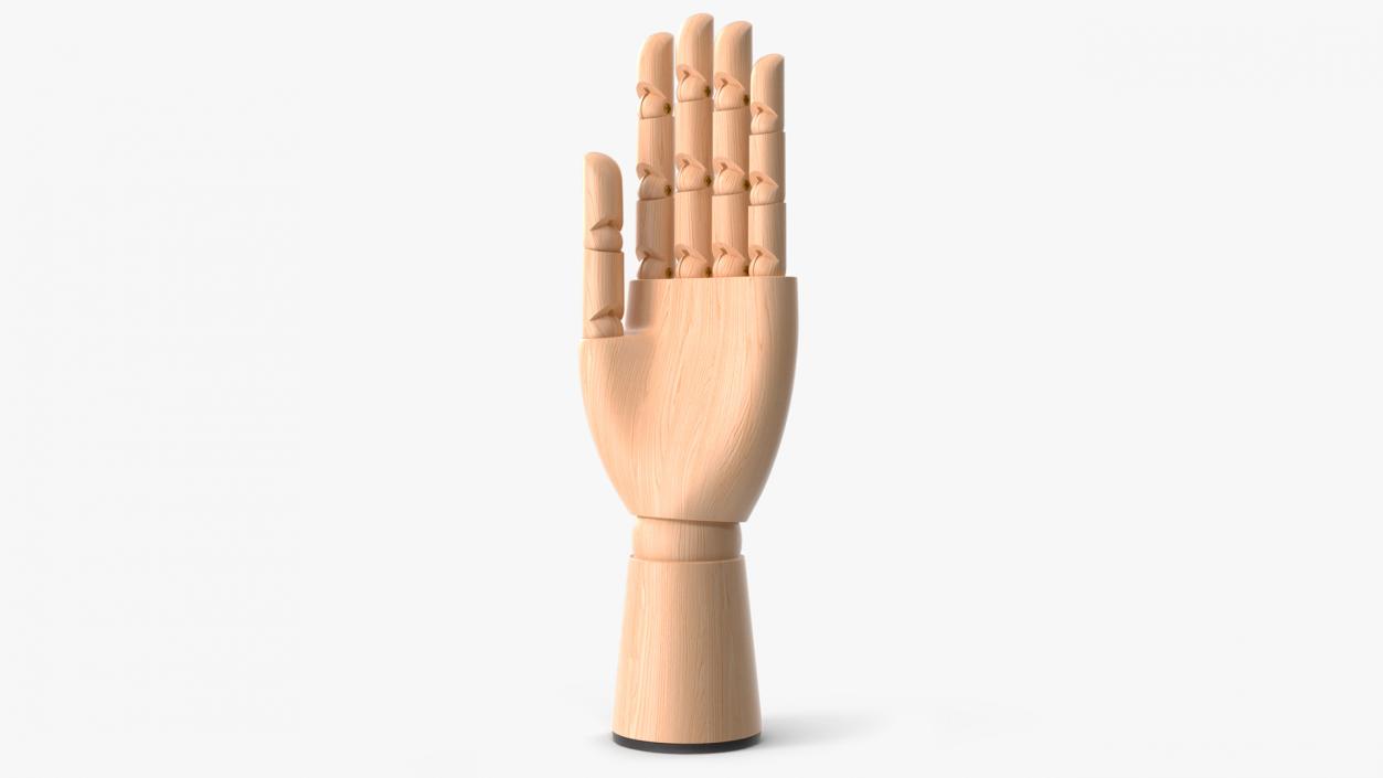 Mannequin Wooden Hand Light 3D