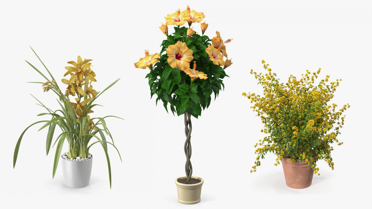 Flower Pots Collection 4 3D model