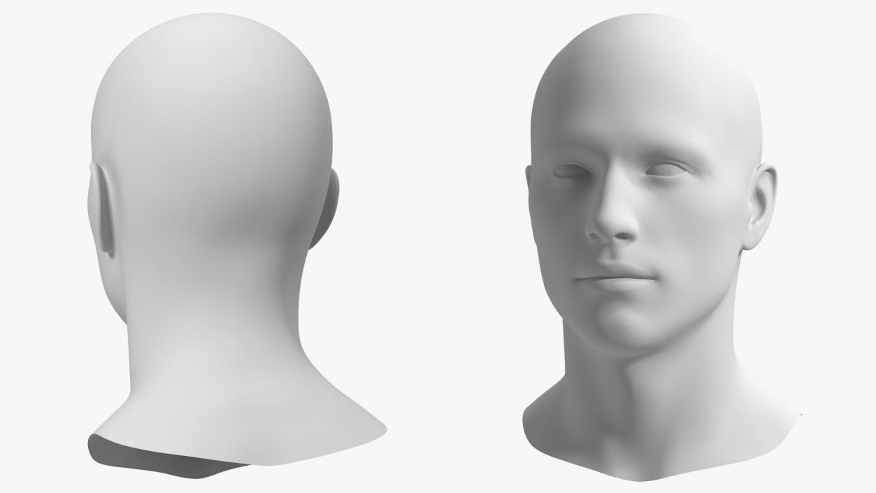 Male Mannequin Head 3D model