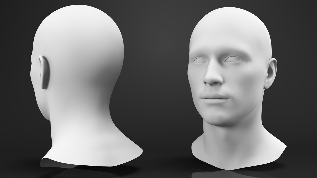 Male Mannequin Head 3D model