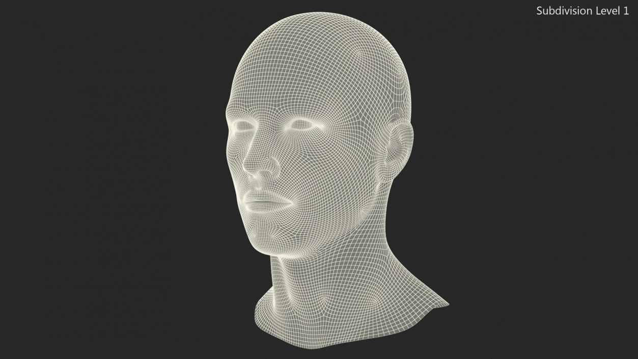 Male Mannequin Head 3D model