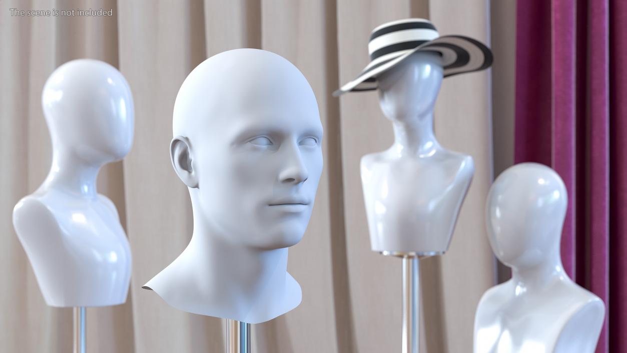 Male Mannequin Head 3D model