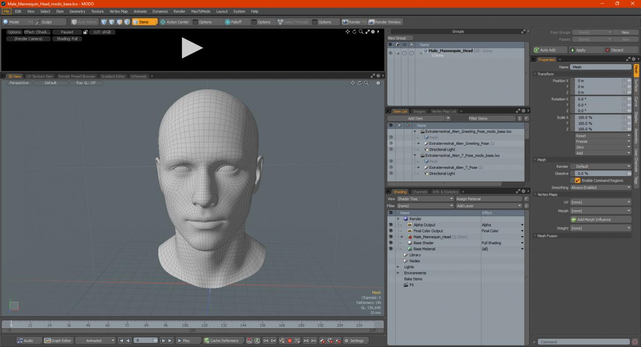 Male Mannequin Head 3D model