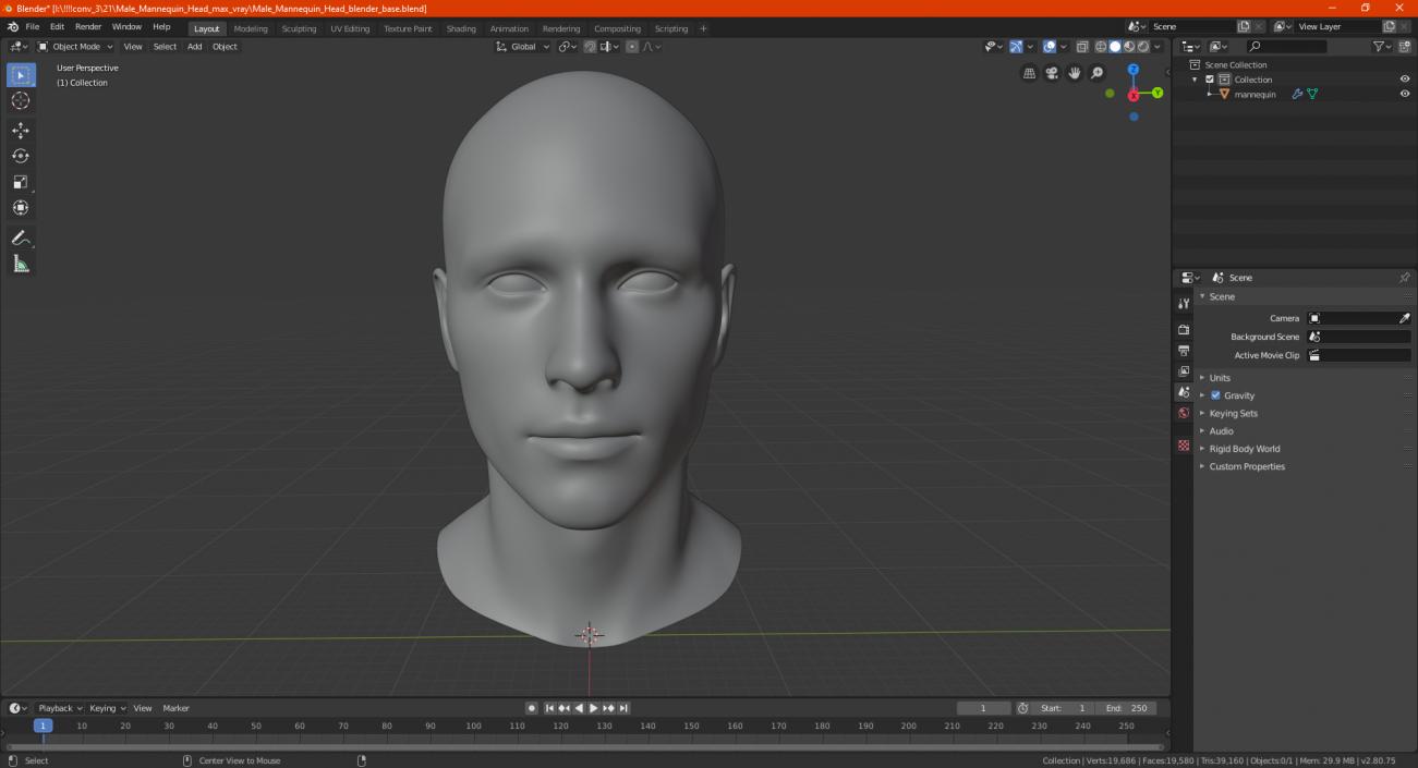 Male Mannequin Head 3D model