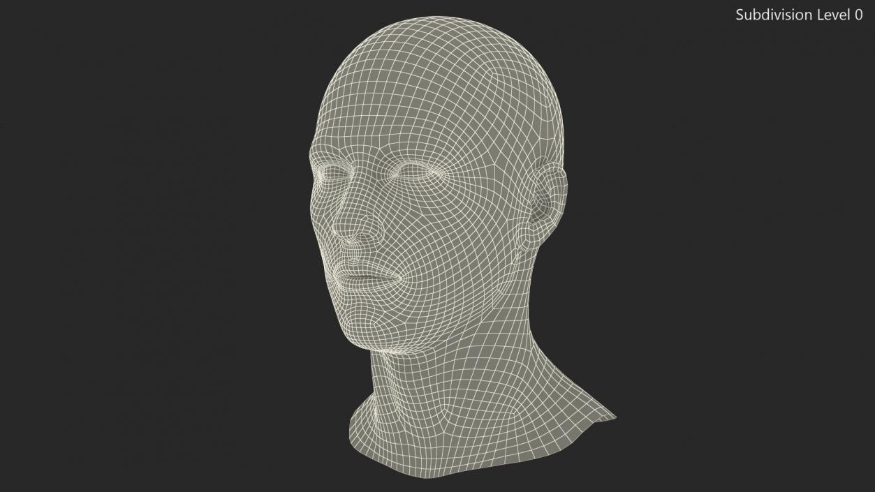 Male Mannequin Head 3D model