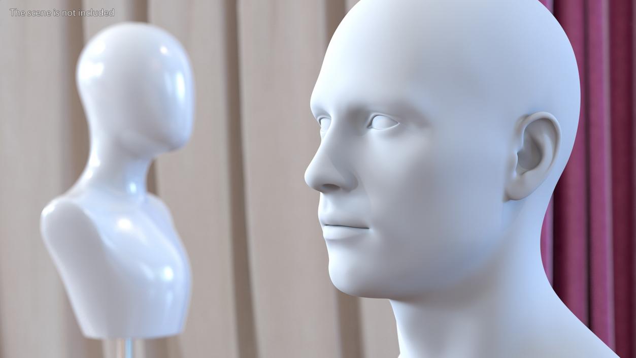 Male Mannequin Head 3D model