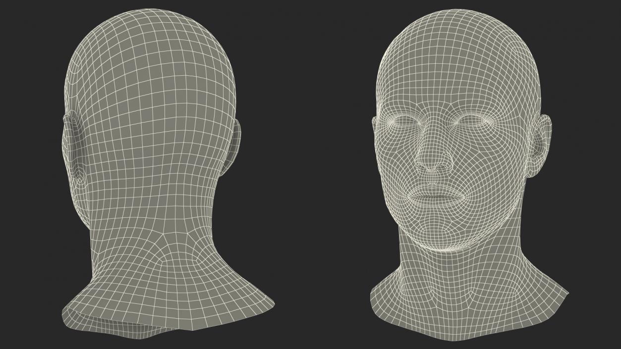 Male Mannequin Head 3D model