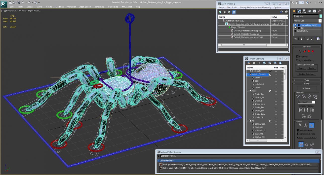 3D Goliath Birdeater with Fur Rigged model