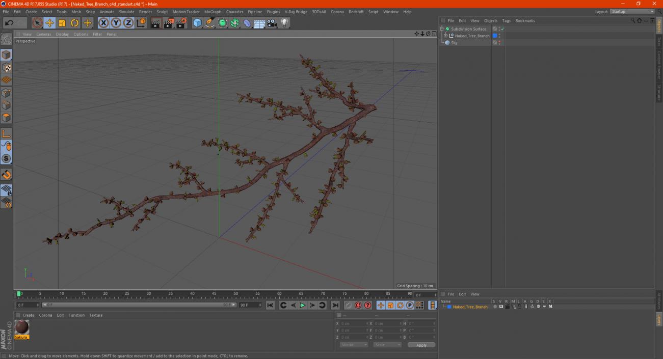 Naked Tree Branch 3D