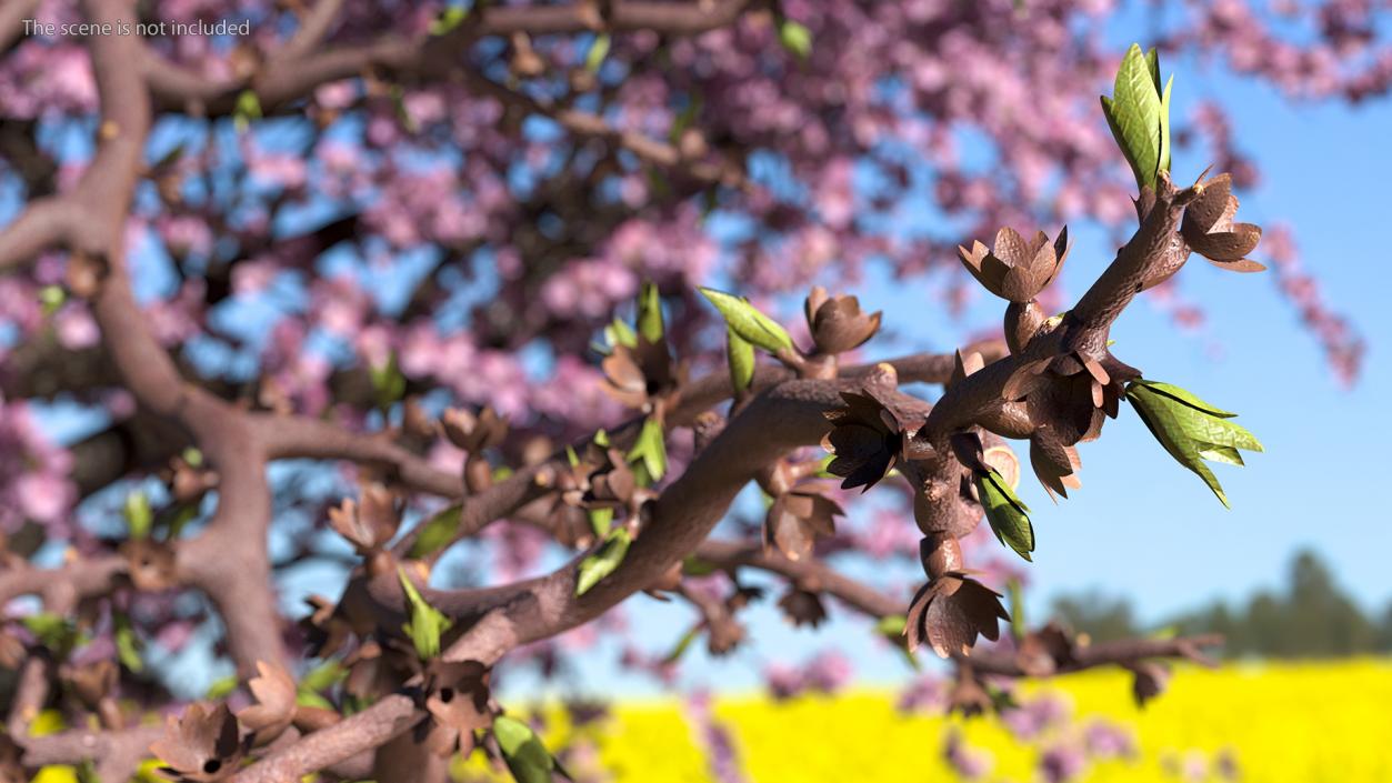 Naked Tree Branch 3D