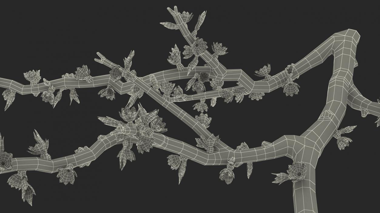 Naked Tree Branch 3D