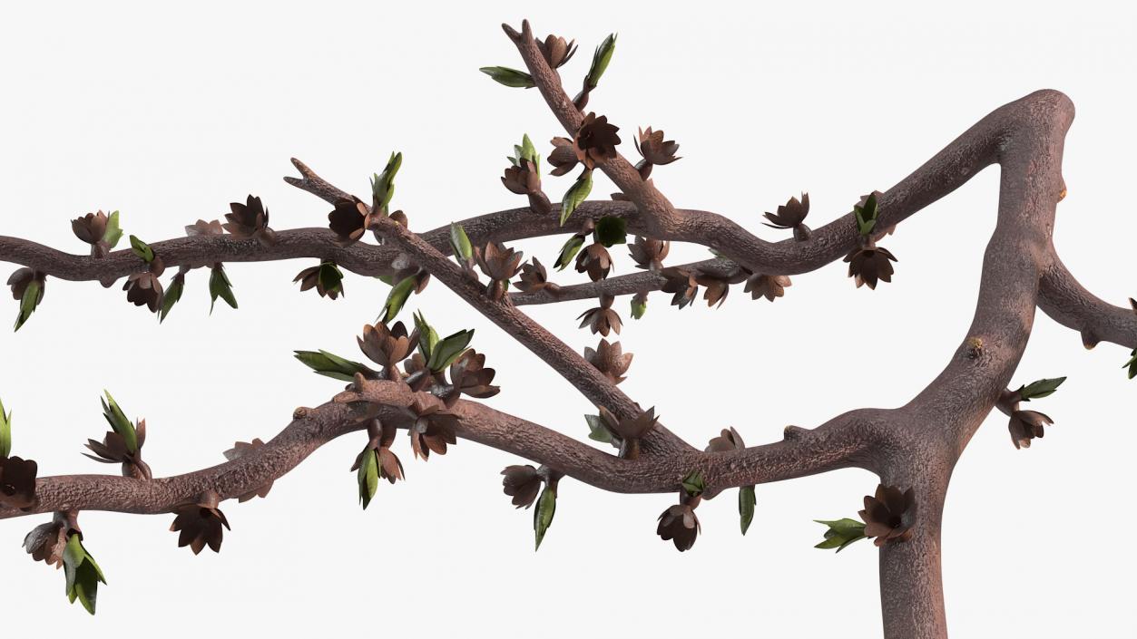 Naked Tree Branch 3D