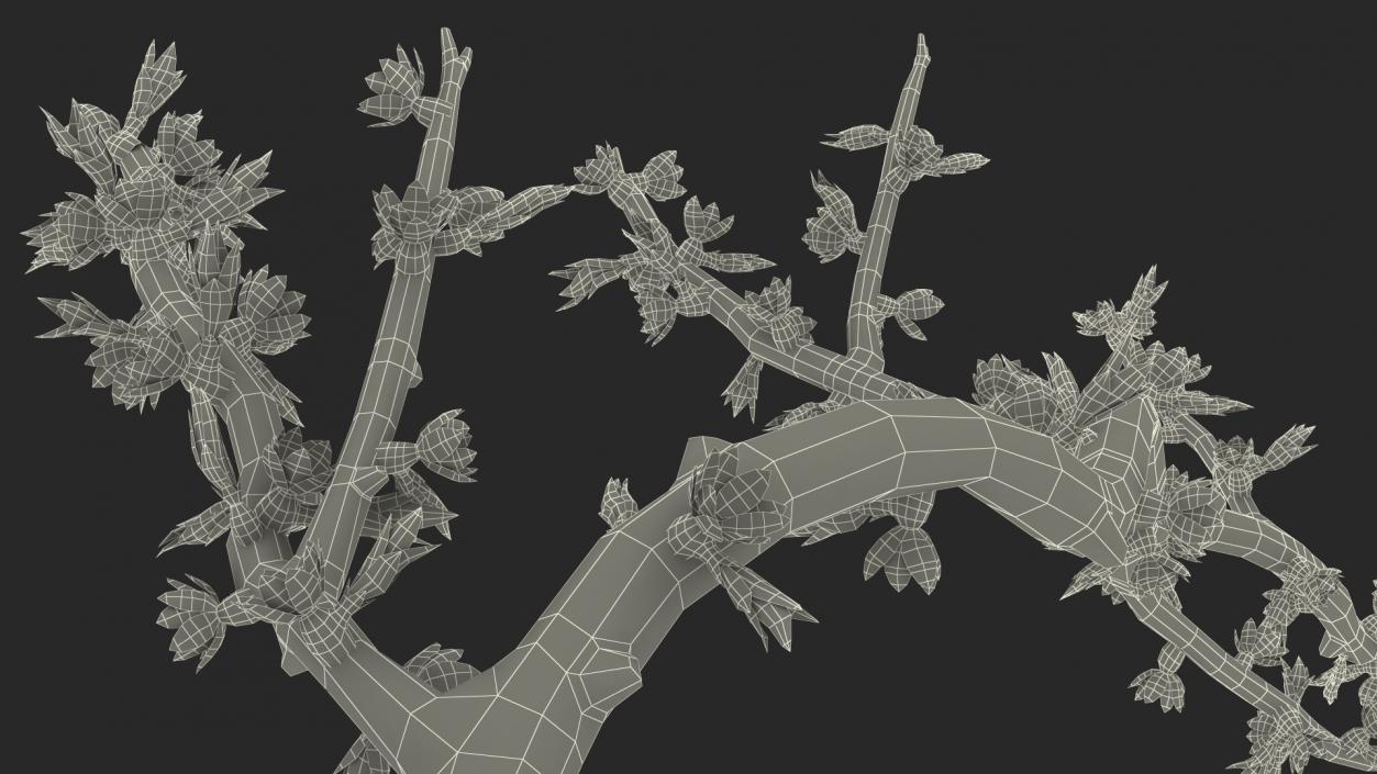 Naked Tree Branch 3D