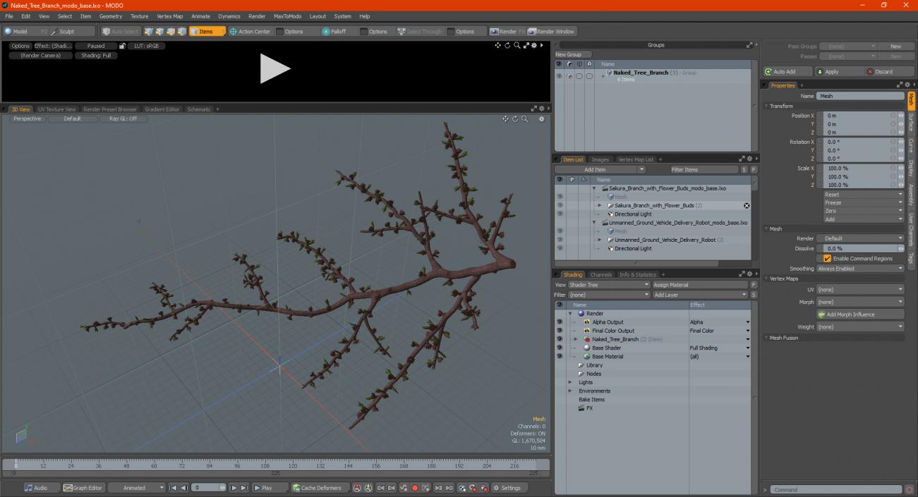 Naked Tree Branch 3D