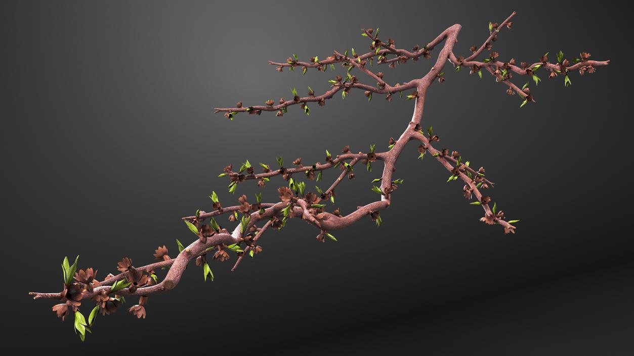 Naked Tree Branch 3D