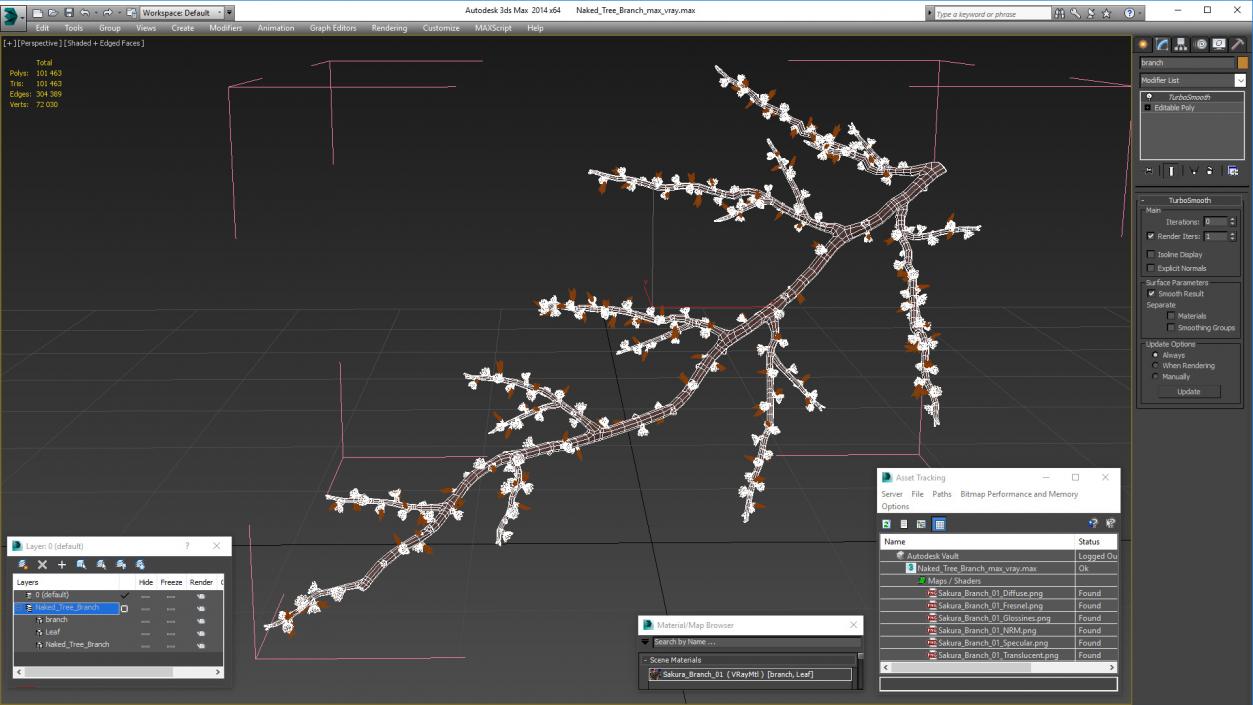 Naked Tree Branch 3D