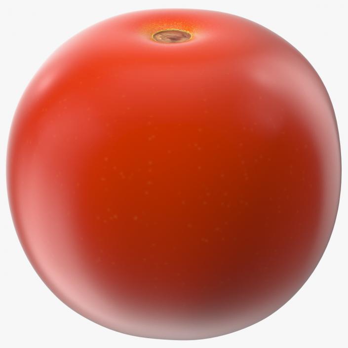 3D Fresh Red Cherry Tomato model