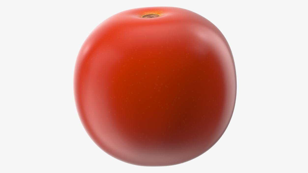 3D Fresh Red Cherry Tomato model