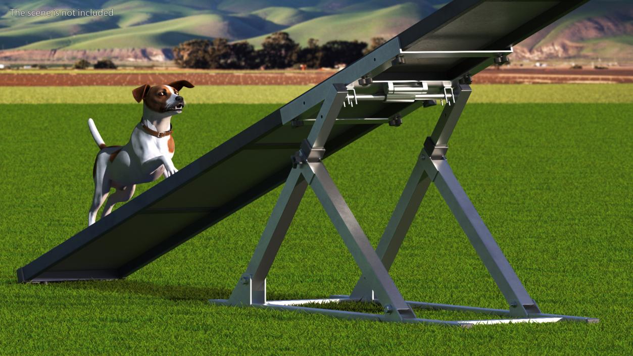 3D Dog Agility Seesaw and Jack Russell Terrier model