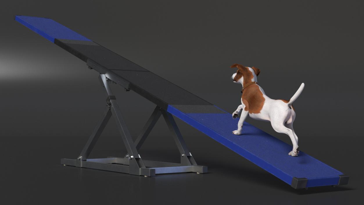 3D Dog Agility Seesaw and Jack Russell Terrier model