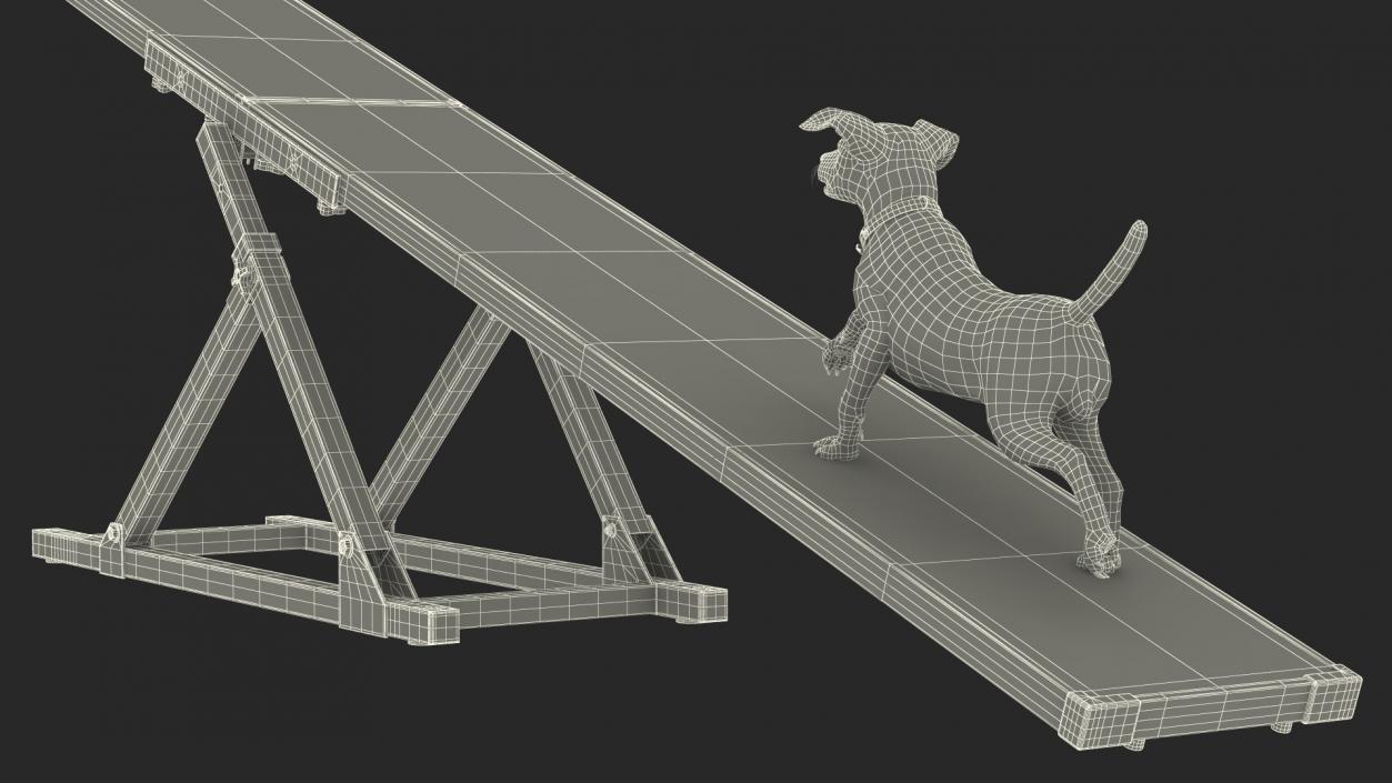 3D Dog Agility Seesaw and Jack Russell Terrier model