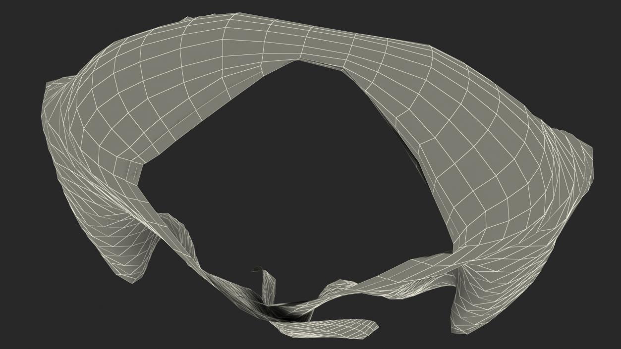 3D Humeral Veil with Clasp model