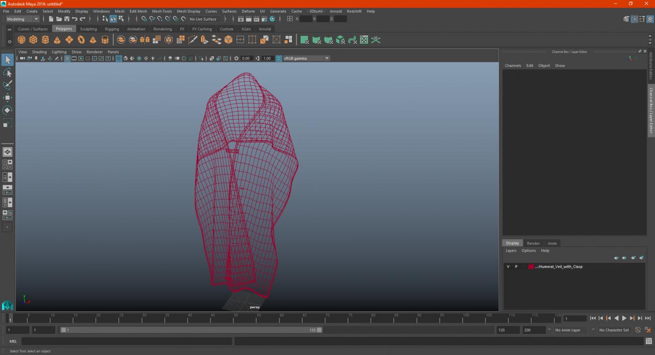 3D Humeral Veil with Clasp model