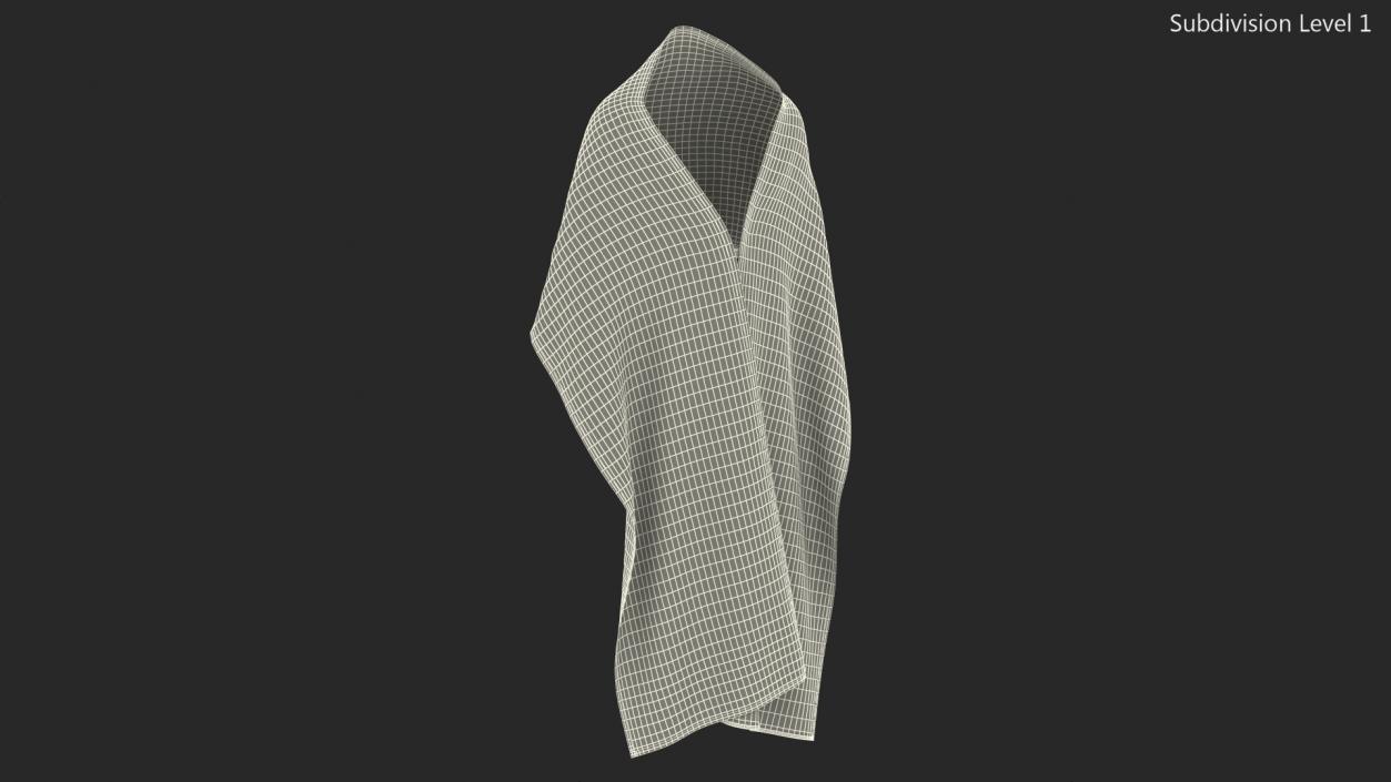 3D Humeral Veil with Clasp model