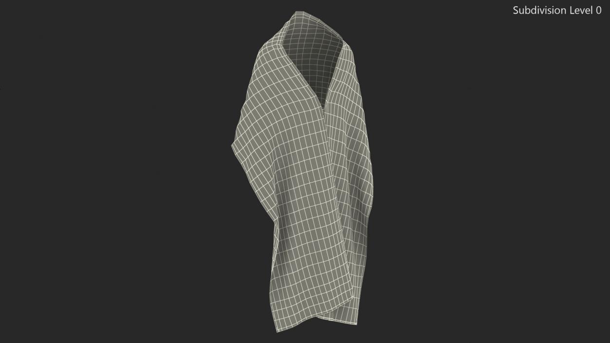 3D Humeral Veil with Clasp model