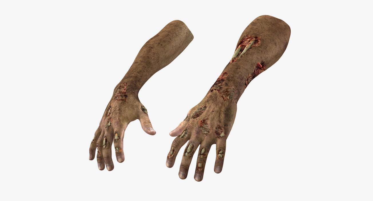 3D Zombie Hands Collection model