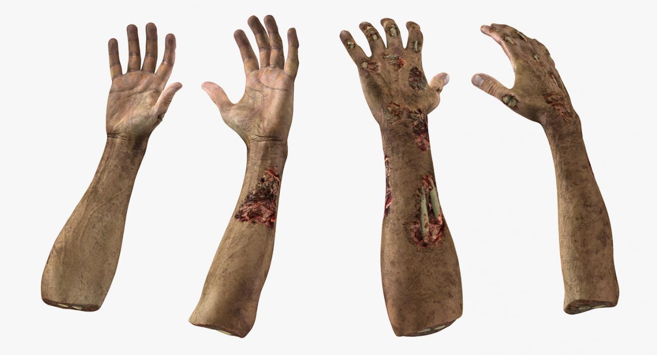 3D Zombie Hands Collection model