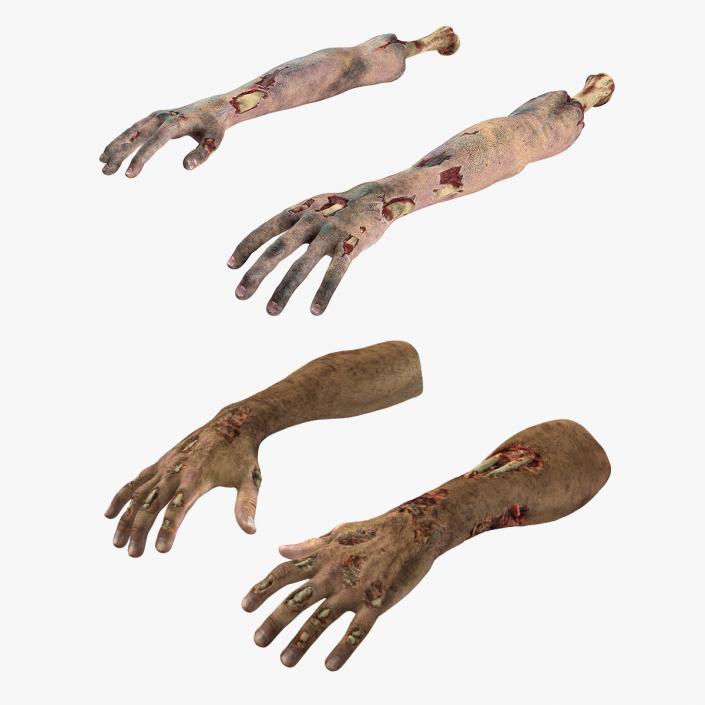 3D Zombie Hands Collection model