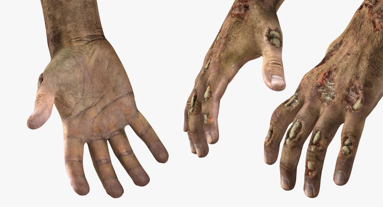 3D Zombie Hands Collection model