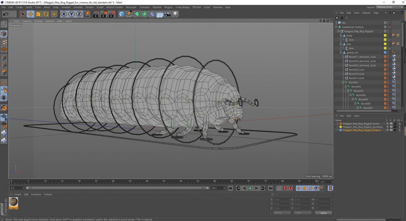 3D model Maggot May Bug Rigged for Cinema 4D