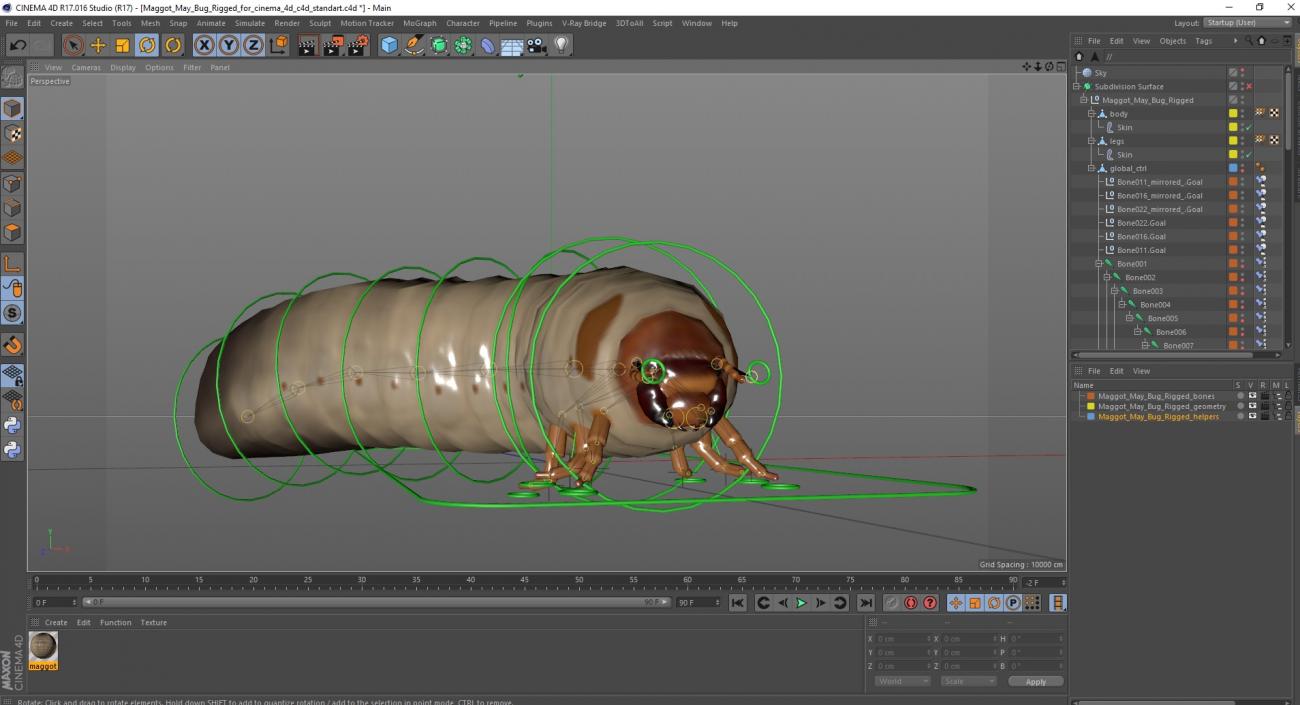 3D model Maggot May Bug Rigged for Cinema 4D