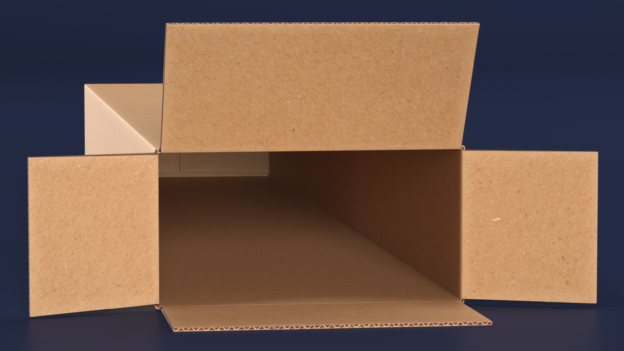 3D Long Cardboard Box model