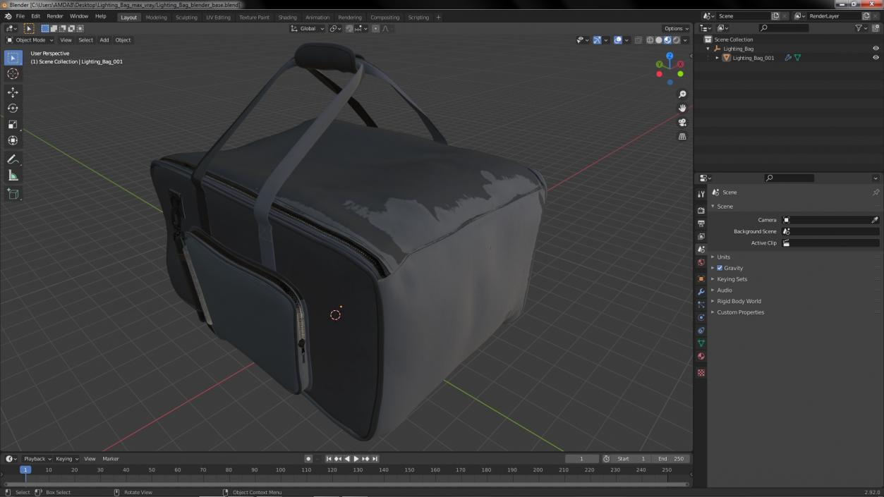 Lighting Bag 3D