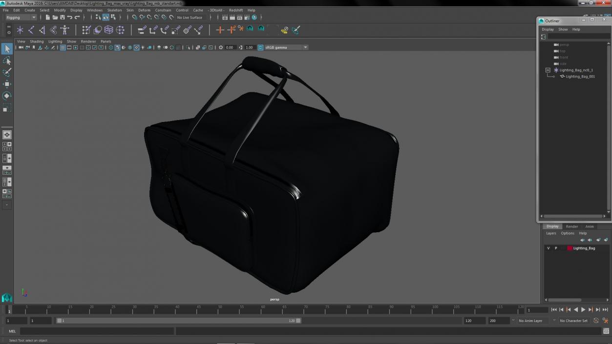 Lighting Bag 3D