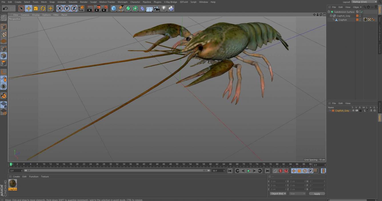 3D Crayfish Grey model