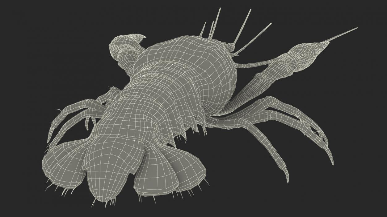 3D Crayfish Grey model