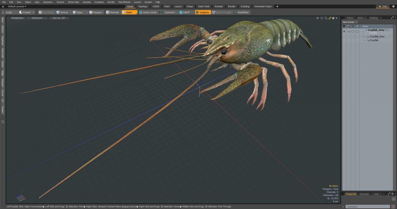 3D Crayfish Grey model