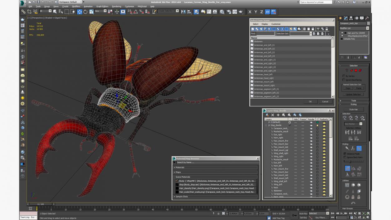 3D model Lucanus Cervus Stag Beetle Fur