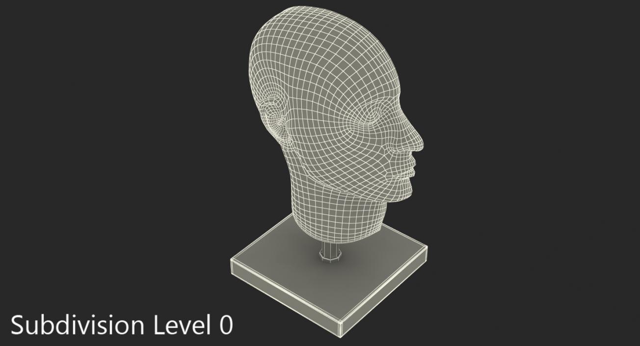 Section Of Human Head Anatomy 3D model