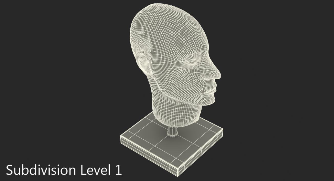 Section Of Human Head Anatomy 3D model