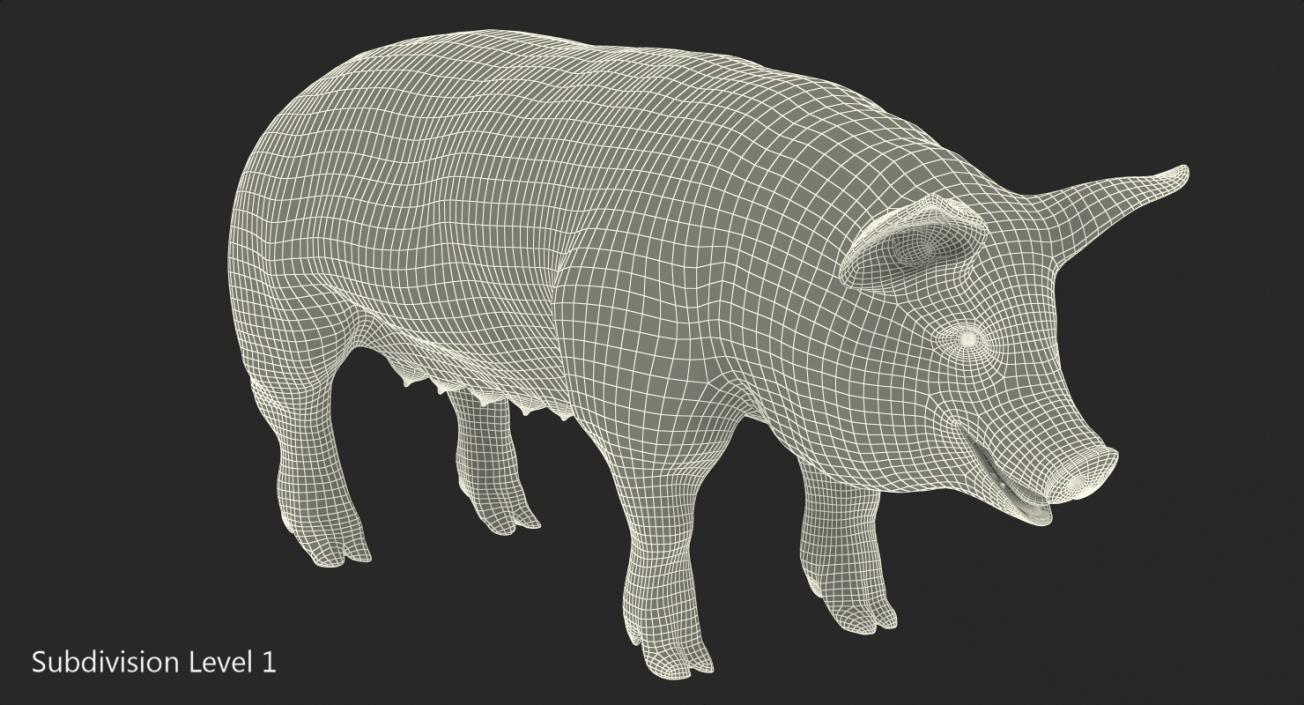 3D model Pig Sow Landrace with Fur