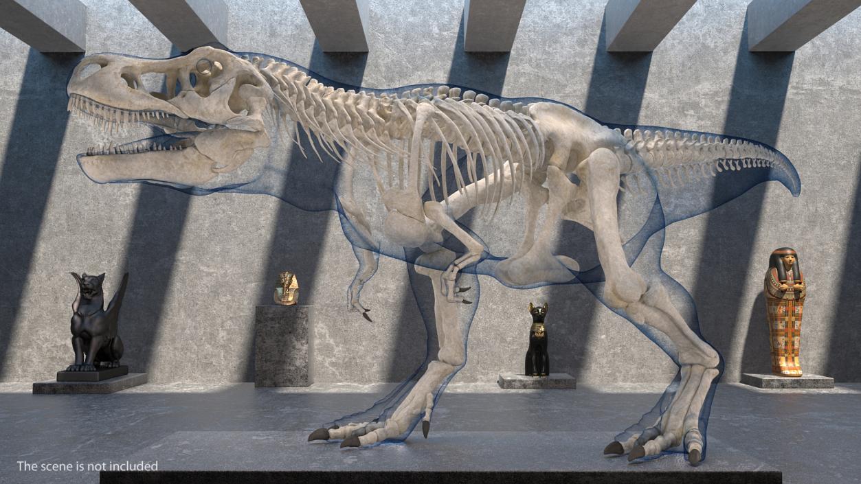 Tyrannosaurus Rex Skeleton with Skin Walking Pose 3D model