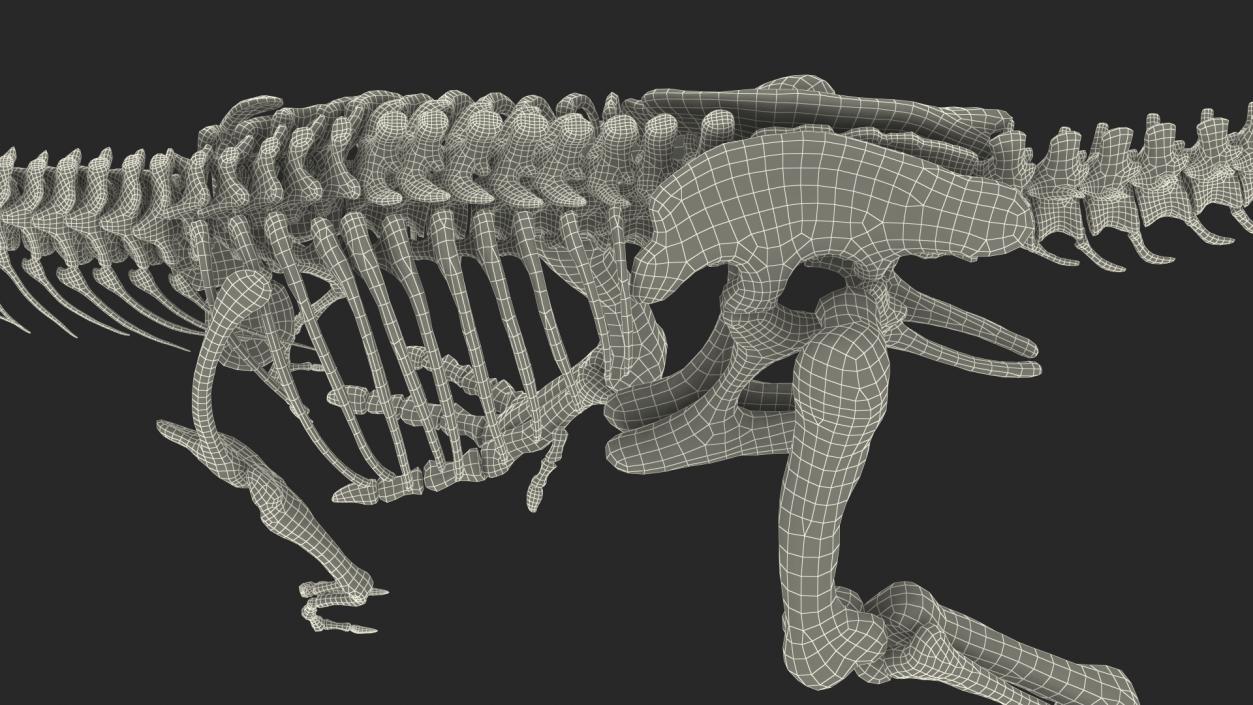 Tyrannosaurus Rex Skeleton with Skin Walking Pose 3D model