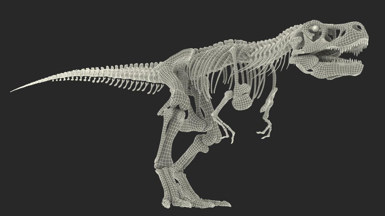 Tyrannosaurus Rex Skeleton with Skin Walking Pose 3D model