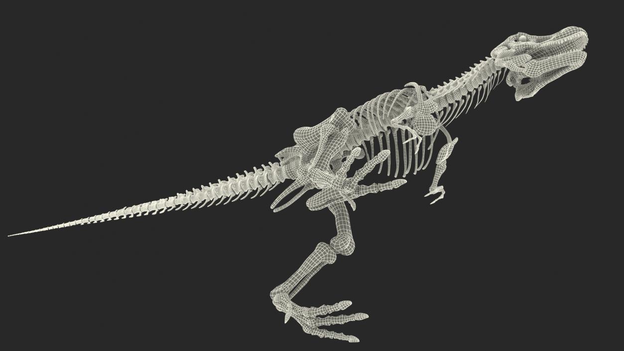 Tyrannosaurus Rex Skeleton with Skin Walking Pose 3D model